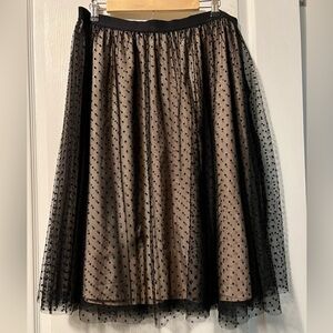 Ann Taylor Tulle skirt